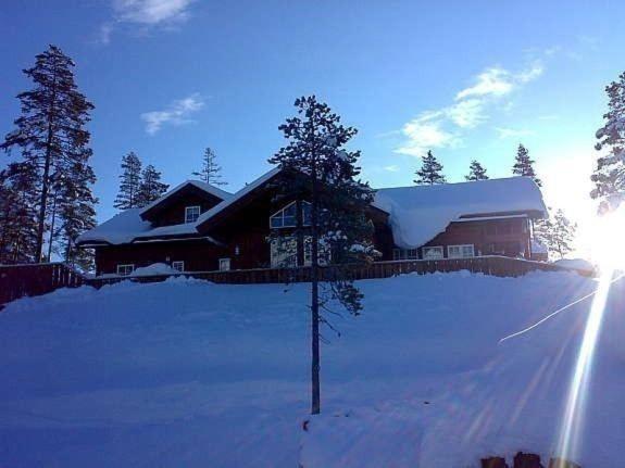Flott Utleiehytte Pa Gautefall Treungen Exterior photo
